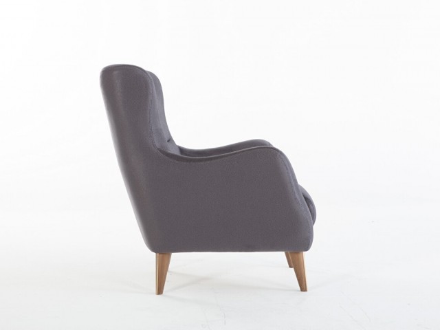 Diego Berjer Antrasit