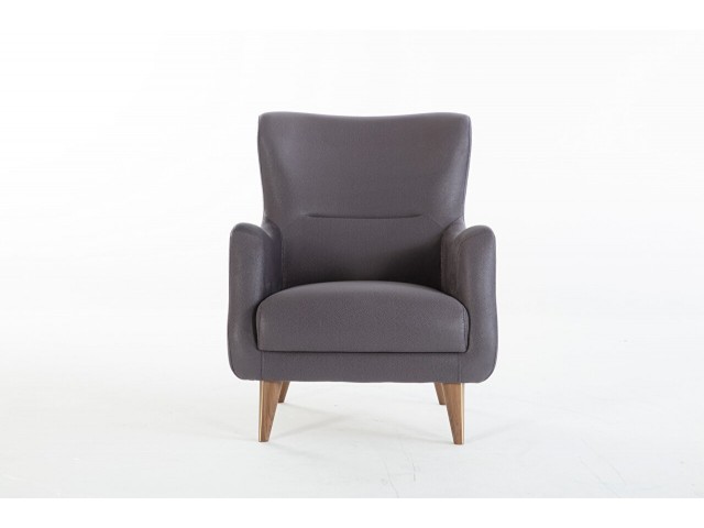 Diego Berjer Lacivert