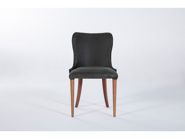 Diego 6217 2'li Sandalye Yeşil Yeşil
