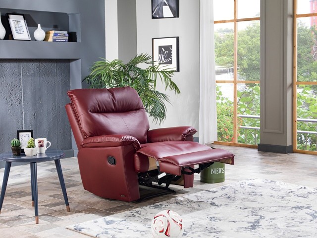 Albion TV Koltuğu Bordo