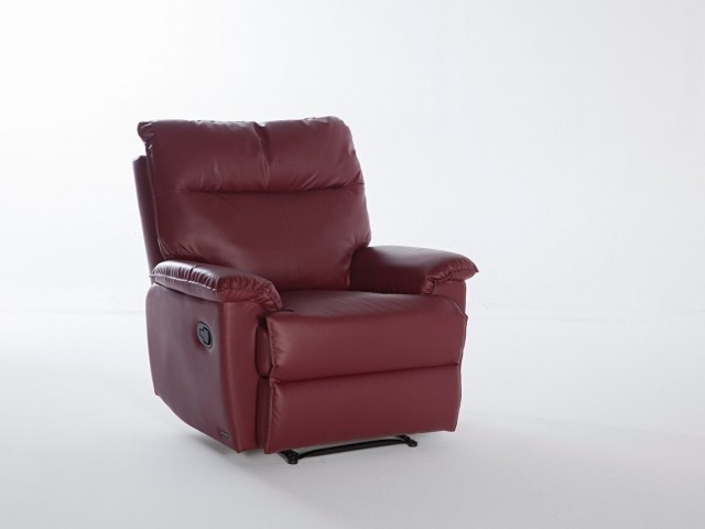 Albion TV Koltuğu Bordo