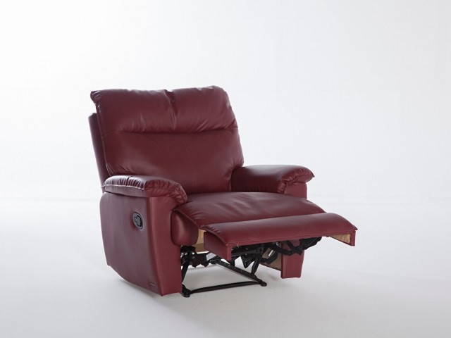 Albion TV Koltuğu Bordo